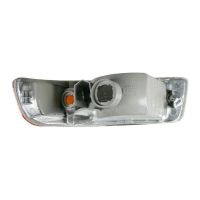  Park/Signal Lamp Lens and Housing - LH