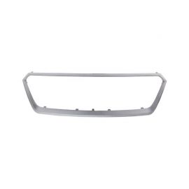 Grill Frame Silver